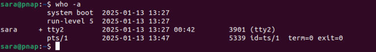who Command in Linux: Syntax, Options, Examples