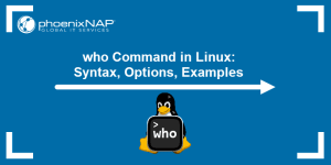 who Command in Linux: Syntax, Options, Examples