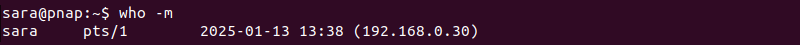 who -m Linux terminal output