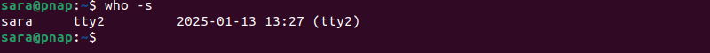 who -s Linux terminal output