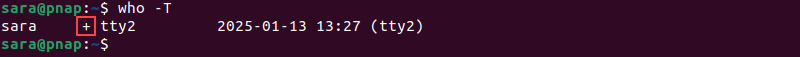 who -T terminal output in Linux