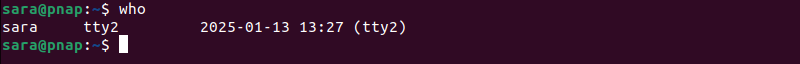 who terminal output in Linux