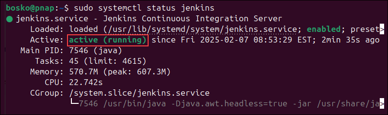 Checking the Jenkins service status.