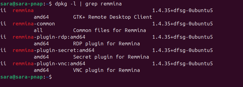 dpkg -l | grep remmina terminal output