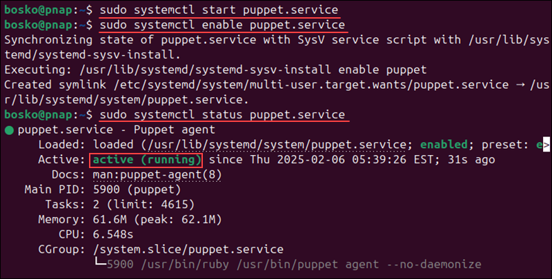 Starting, enabling, and checking the Puppet client service status on Ubuntu.