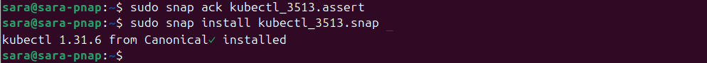 sudo snap install kubectl_3513.snap terminal output