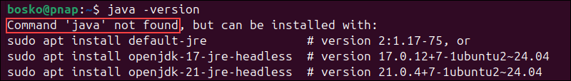 Java not installed error in Ubuntu.