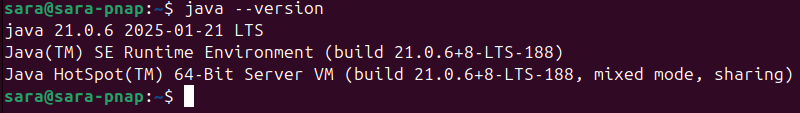 java --version terminal output