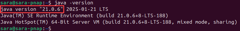 java -version terminal output