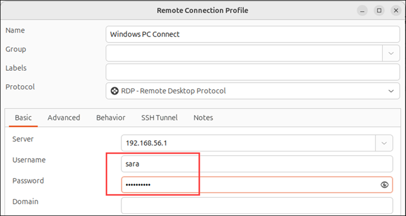 Remmina Define the username and password