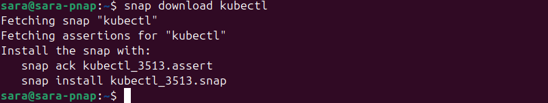 snap download kubectl terminal output