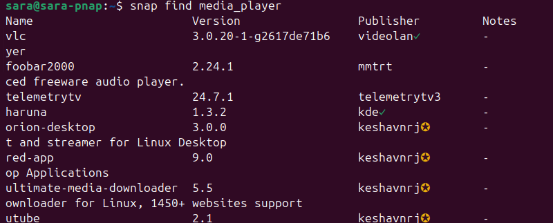 snap find media_player terminal output