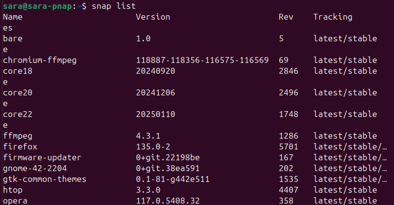 snap list terminal output