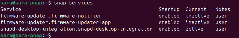 snap services terminal output