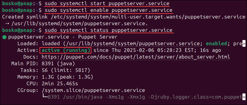 Starting, enabling, and checking Puppet server status on Ubuntu.