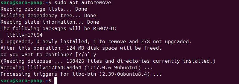 sudo apt autoremove terminal output