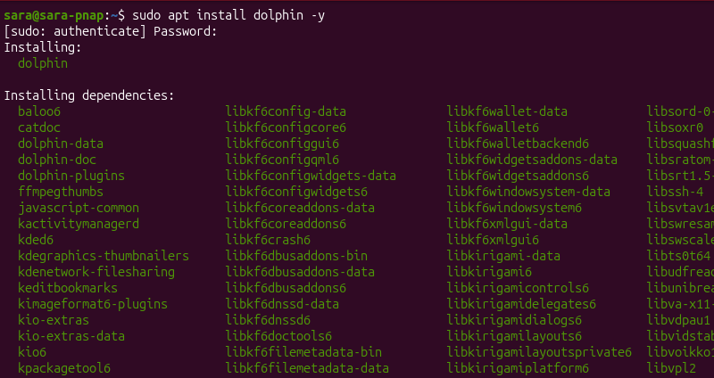 sudo apt install dolphin -y terminal output