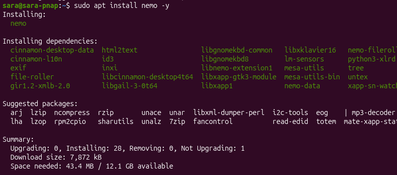 sudo apt install nemo -y terminal output
