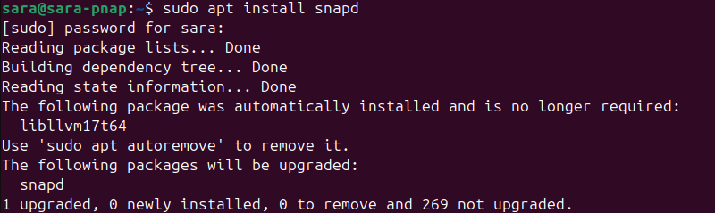 sudo apt install snapd terminal output