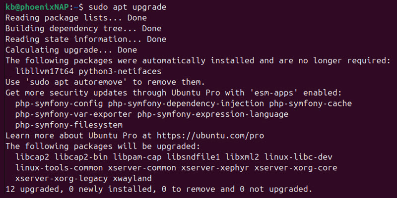 sudo apt upgrade kernel terminal output