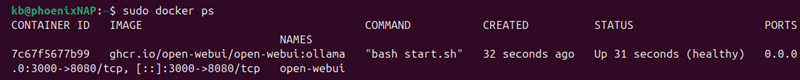 sudo docker ps Open WebUI Ollama running healthy