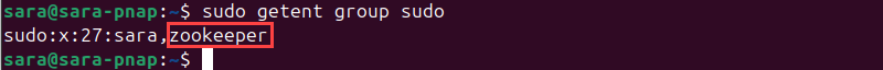 sudo getent group sudo terminal output