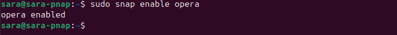 sudo snap enable opera terminal output