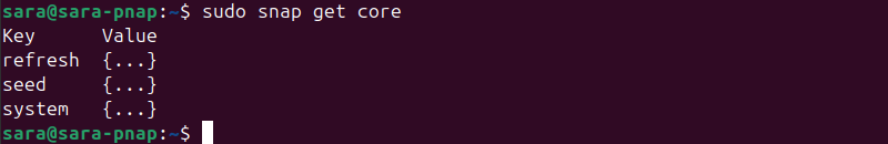 sudo snap get core terminal output