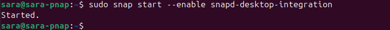 sudo snap start --enable snapd-desktop-integration terminal output