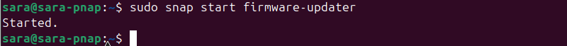 sudo snap start firmware-updater terminal output