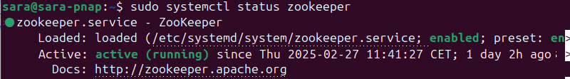 sudo systemctl status zookeeper terminal output