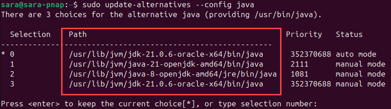 sudo update-alternatives --config java terminal output path section