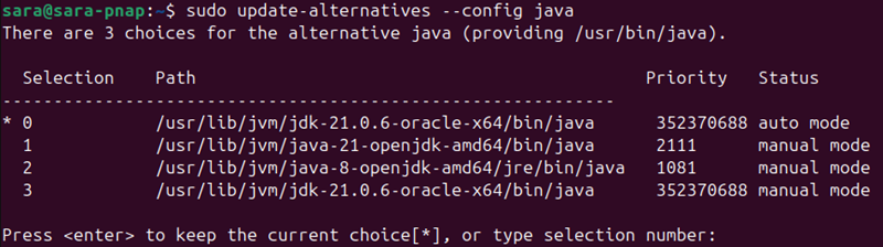 sudo update-alternatives --config java terminal output