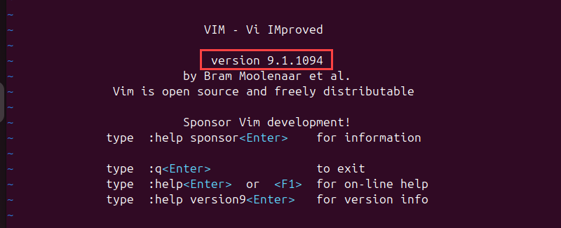 vim -v terminal output