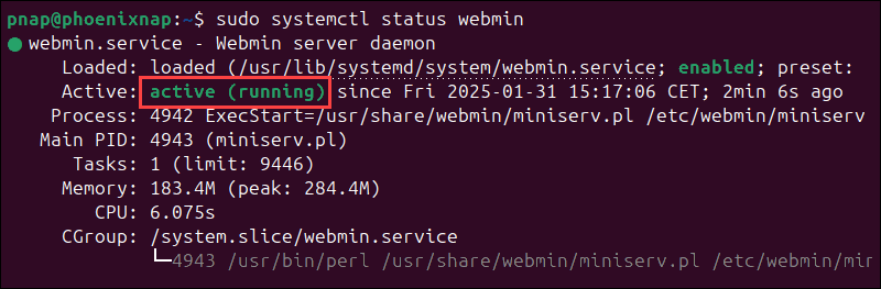 Check status of Webmin service.