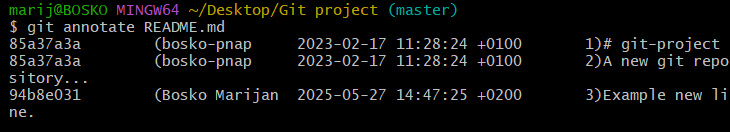 Example output of the git annotate command.