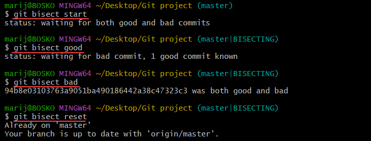 Using git bisect in Git Bash.