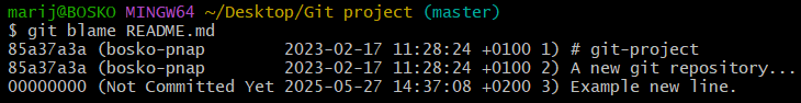 Example output of the git blame command.