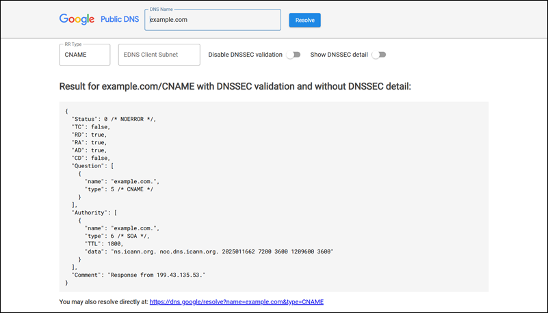 A screenshot of the Google DNS checker showing records for a website.