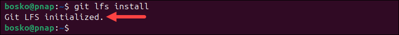 Initializing Git LFS on Linux.