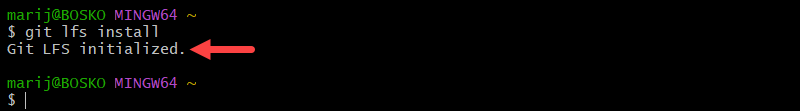 Initializing Git LFS on Windows.