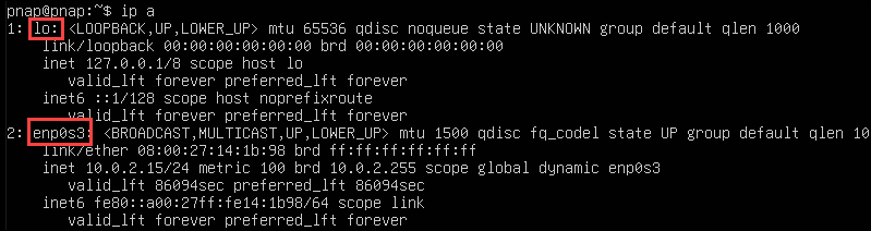 The IP network interface in Ubuntu Server.
