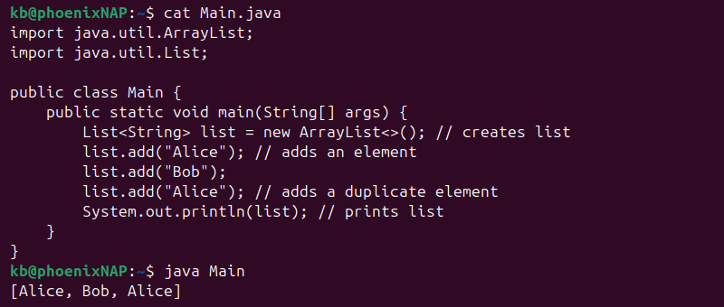 Java example list double elements output