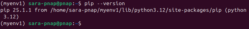 pip --version myenv1 terminal output