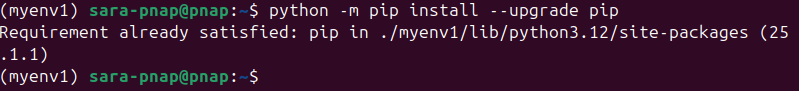 python -m pip install --upgrade pip terminaloutput myenv1