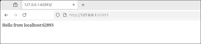 navigate to 127.0.0.1:62893 in a browser