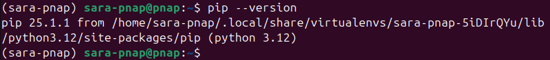 pipenv pip --version terminal output