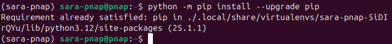 pipenv python -m pip install --upgrade pip terminal output