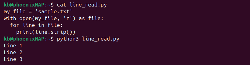 Python read line for loop output