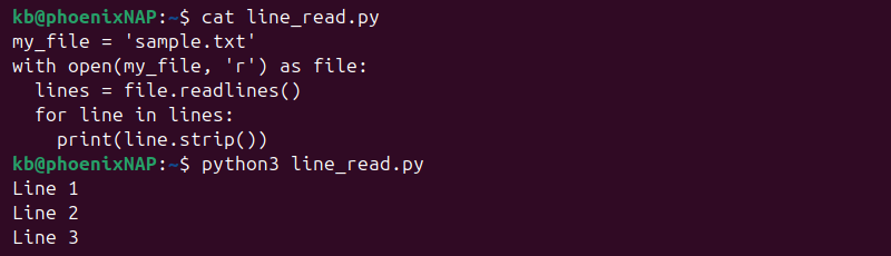 Python read line readlines() method output